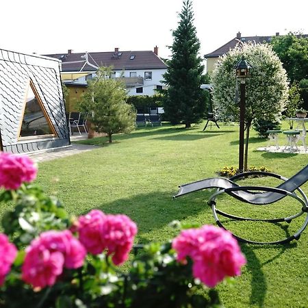 Pension Nr. 13 - B&B Pirna Dış mekan fotoğraf
