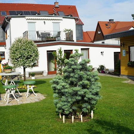 Pension Nr. 13 - B&B Pirna Dış mekan fotoğraf